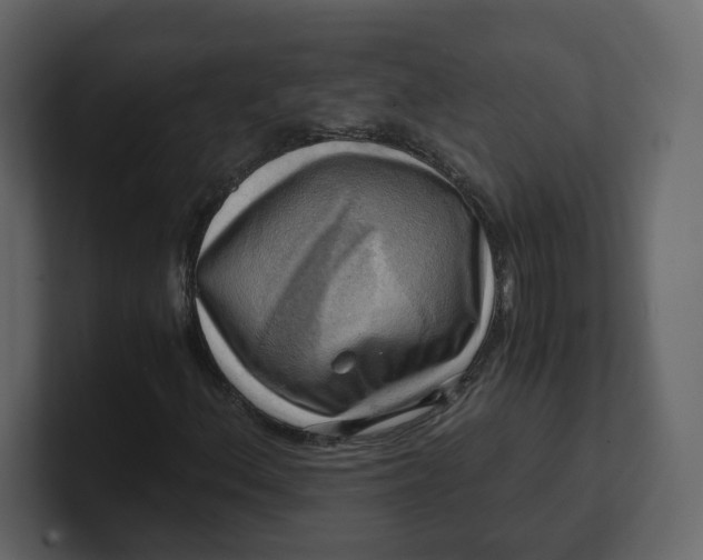 X0000100931156200807151238