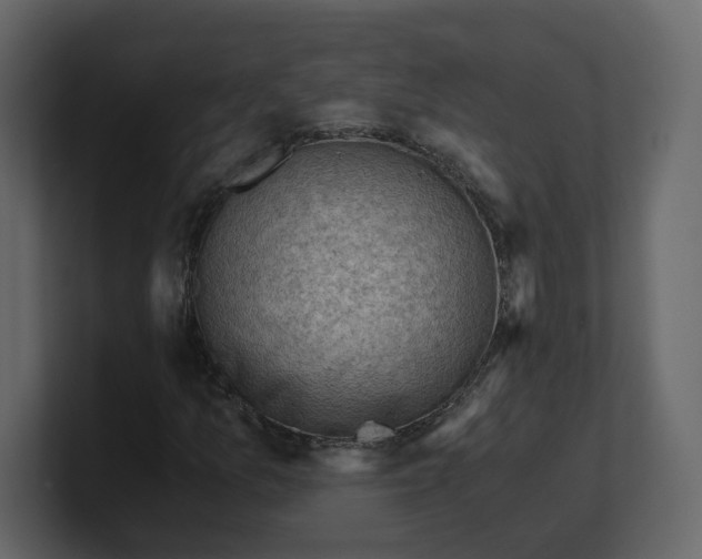 X0000100931157200807151238