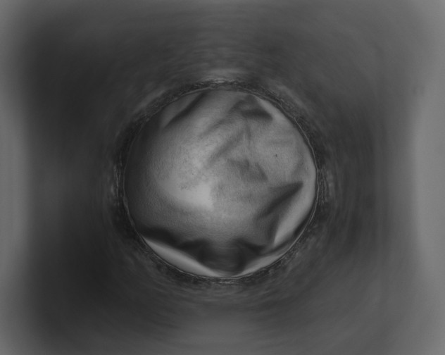 X0000100931158200807151238