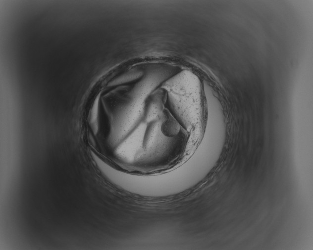 X0000100931160200807151238