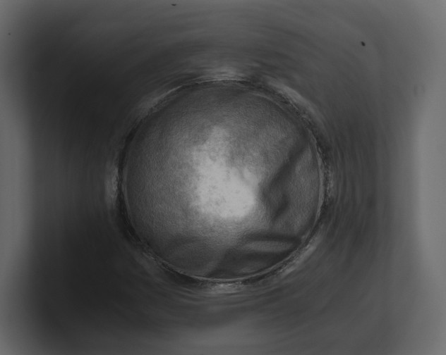 X0000100931161200807151238