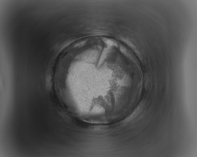 X0000100931163200807151238