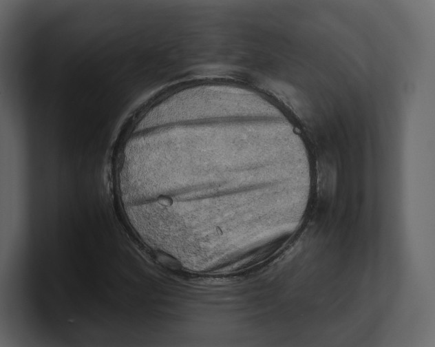 X0000100931164200807151238