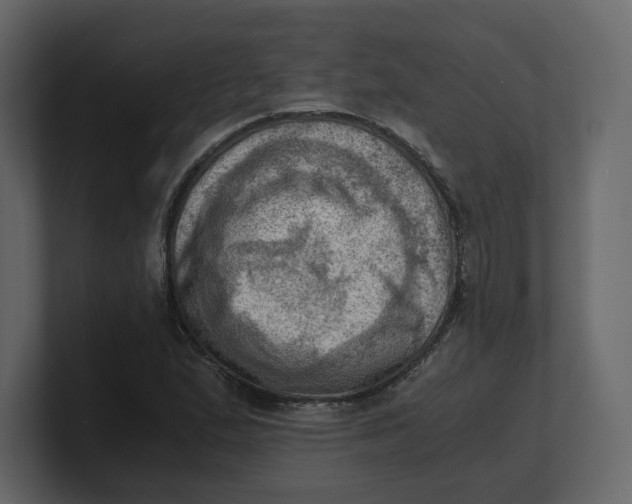 X0000100931167200807151238