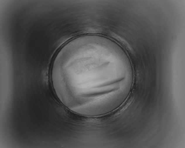 X0000100931170200807151238