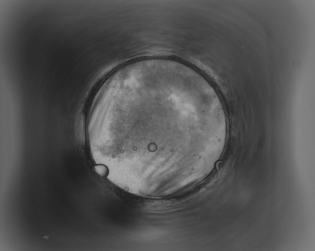 X0000100931171200807151237