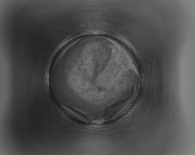 X0000100931173200807151237