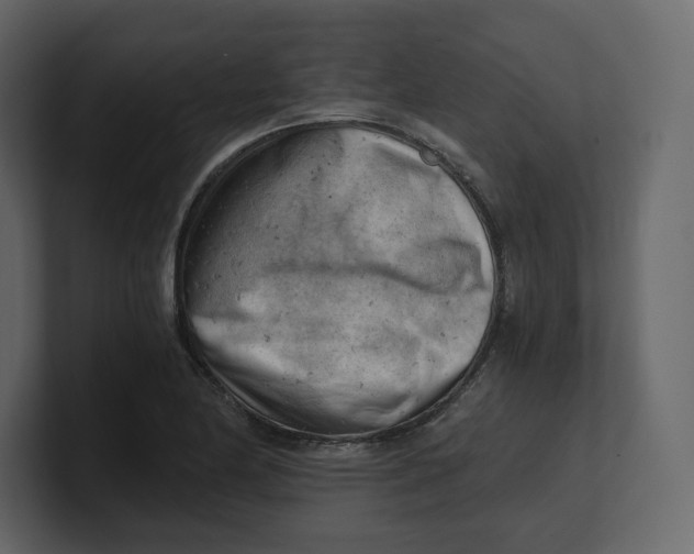 X0000100931174200807151237