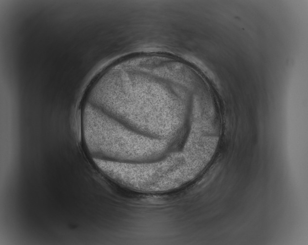 X0000100931175200807151237