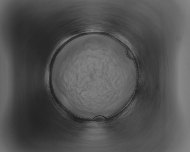 X0000100931179200807151237