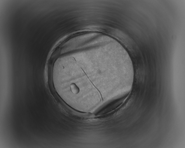 X0000100931180200807151237