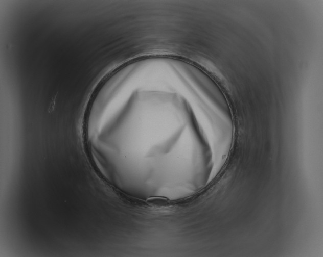 X0000100931181200807151237