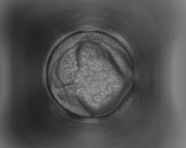 X0000100931183200807151237