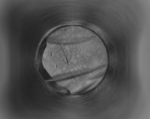 X0000100931184200807151237