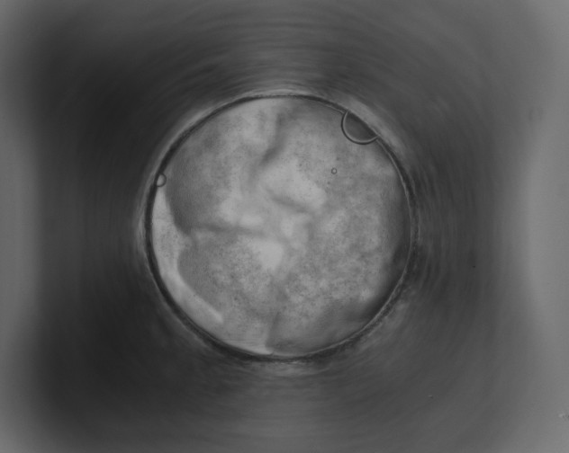 X0000100931189200807151237