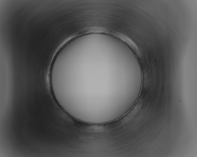 X0000100931190200807151237