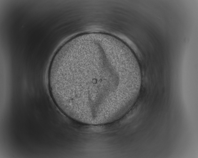 X0000100931191200807151237