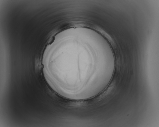 X0000100931193200807151237