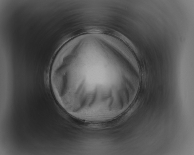 X0000100931194200807151237