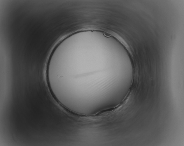 X0000100931197200807151237