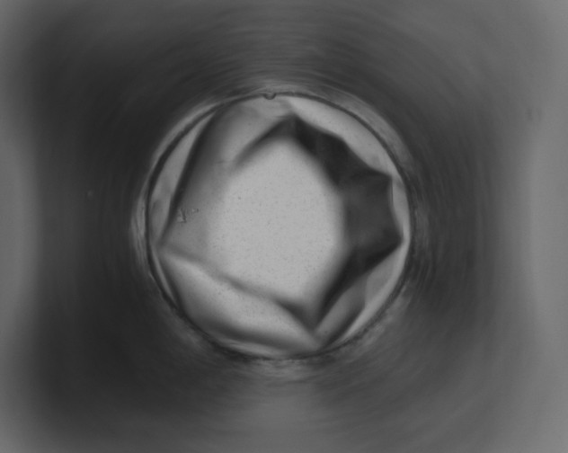 X0000100931198200807151237