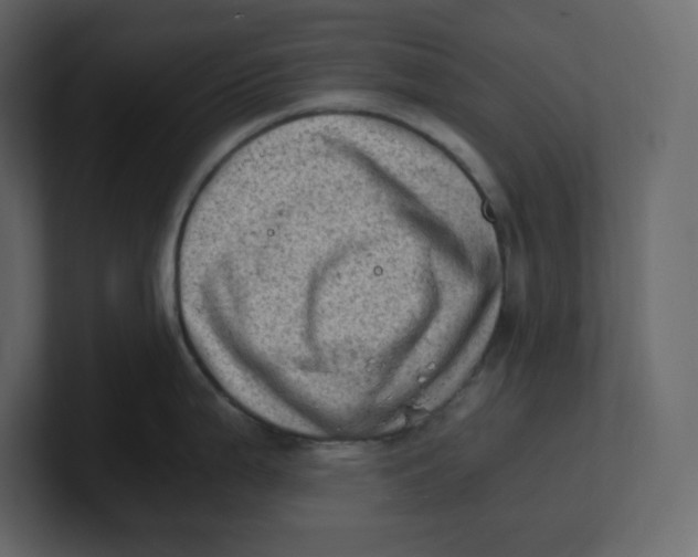 X0000100931199200807151237