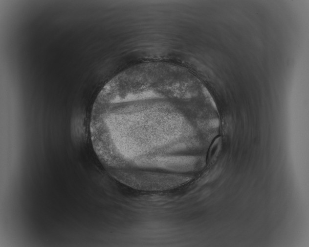 X0000100931202200807151236