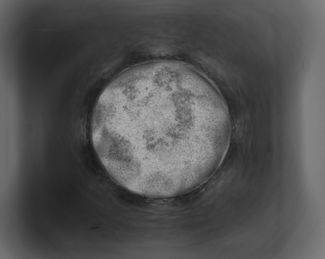 X0000100931205200807151236