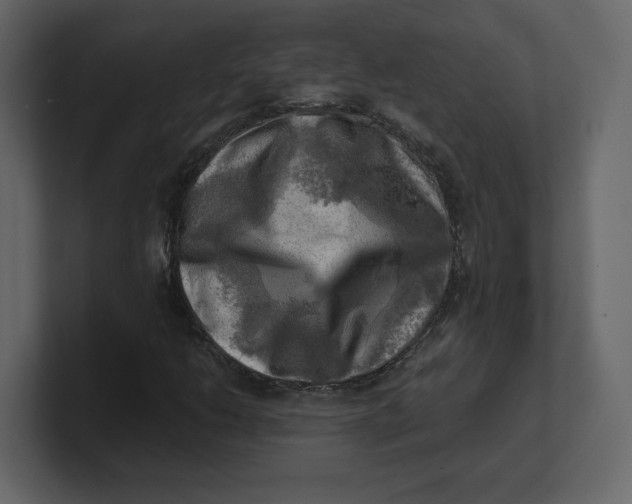 X0000100931206200807151236