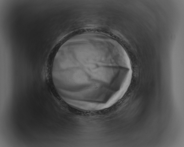 X0000100931208200807151236