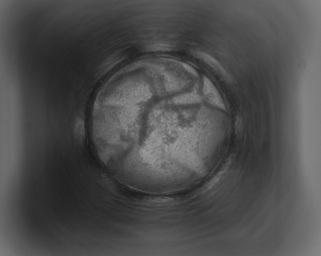 X0000100931209200807151236