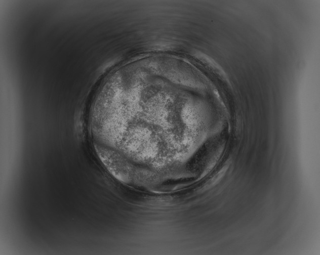 X0000100931210200807151237