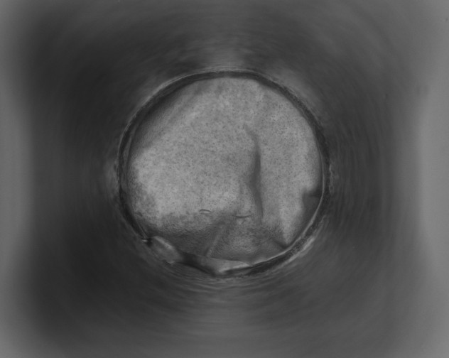 X0000100931212200807151237