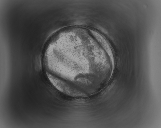 X0000100931214200807151237