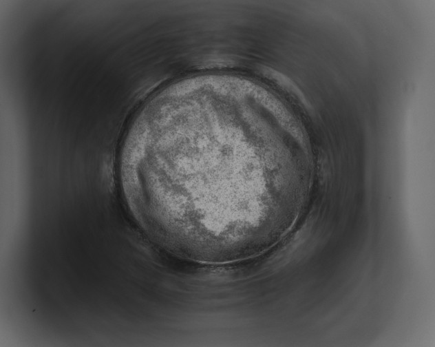 X0000100931217200807151237