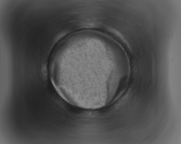 X0000100931218200807151237