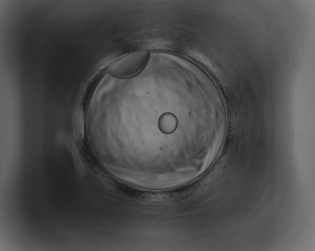 X0000100931219200807151237