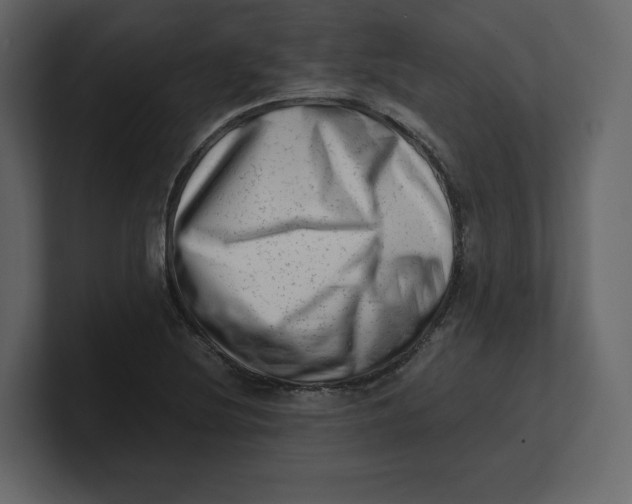 X0000100931220200807151237