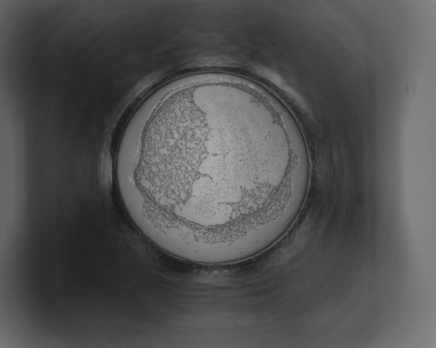 X0000100931221200807151237