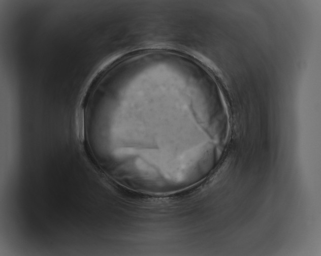 X0000100931223200807151237