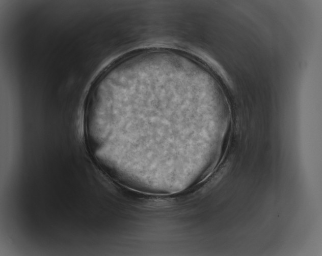 X0000100931224200807151237