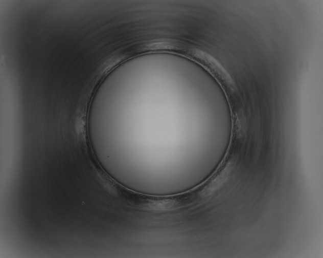 X0000100931225200807151237