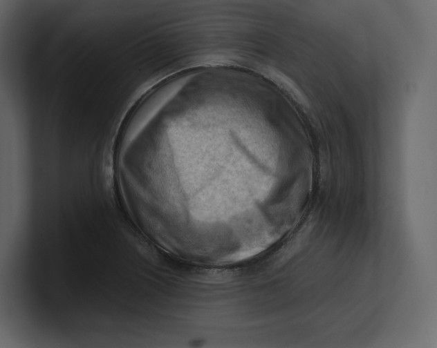 X0000100931226200807151237