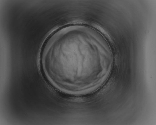 X0000100931229200807151237