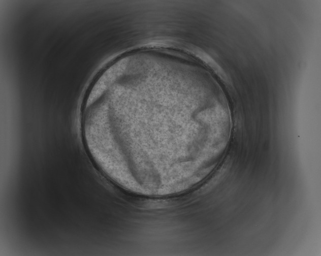 X0000100931232200807151237