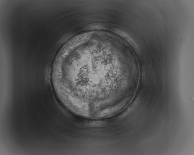 X0000100931233200807151237