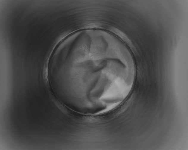 X0000100931234200807151237