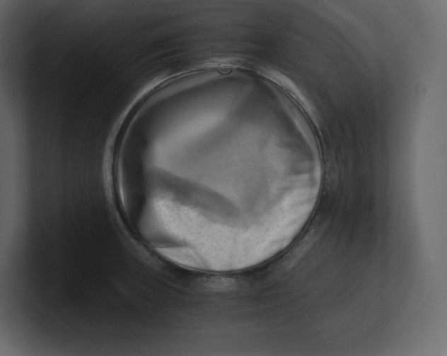 X0000100931235200807151237