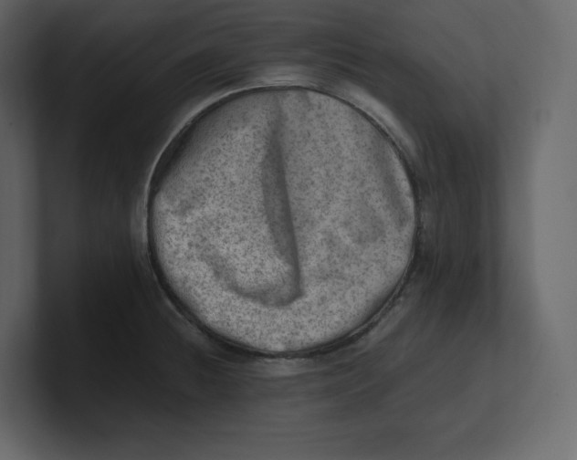 X0000100931236200807151237