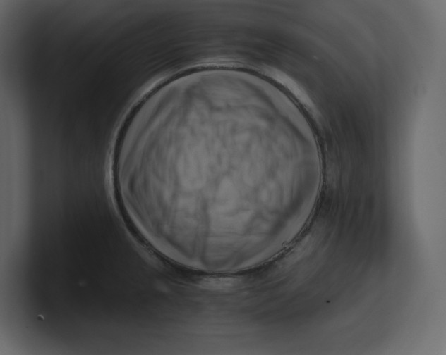 X0000100931237200807151237